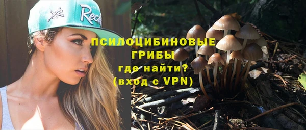 прущая мука Осташков