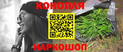 прущие грибы Апрелевка