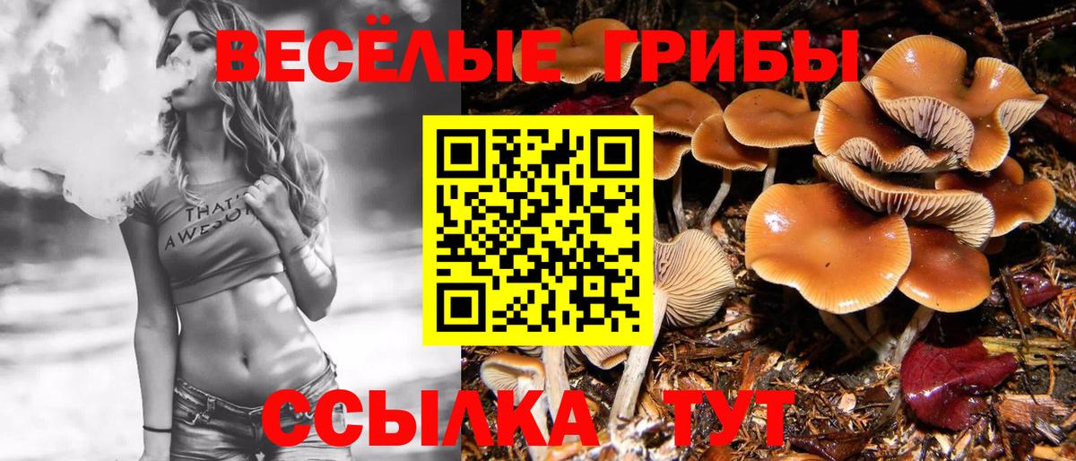 Псилоцибиновые грибы мицелий  Псилоцибиновые грибы ЛСД  Боровичи  Вход с VPN 