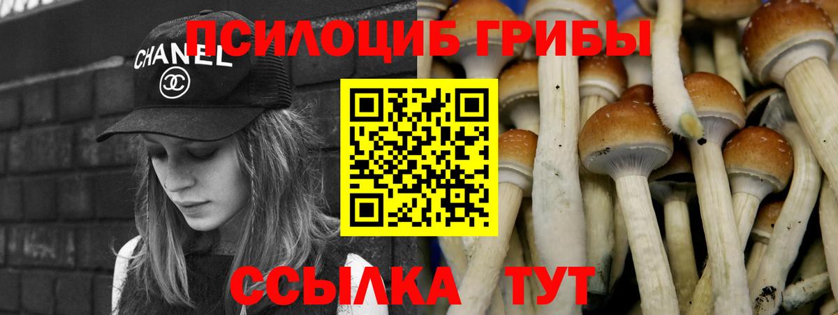 Псилоцибиновые грибы GOLDEN TEACHER  Боровичи 